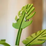 images/2025/4/29/2025-4-29-1745935649043.webp