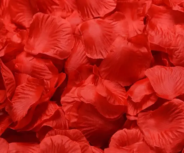 파티용 장미 꽃잎 500p 