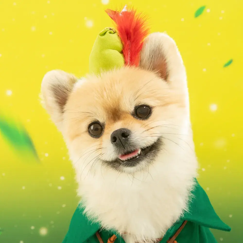 김양갱은 못말려 유튜브