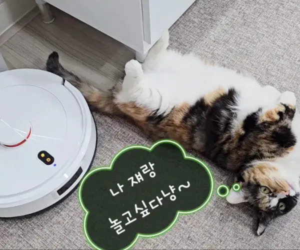 야무진가성비👍Teendow 올인원로봇청소기