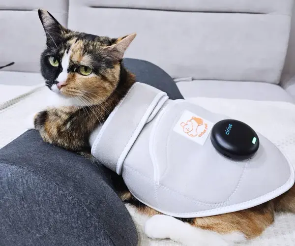 근적외선 찜질기 따땃패드 