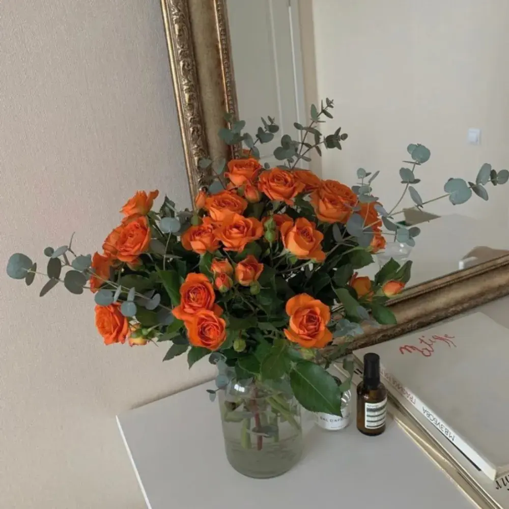 비비드유니X곡물도감 CS문의