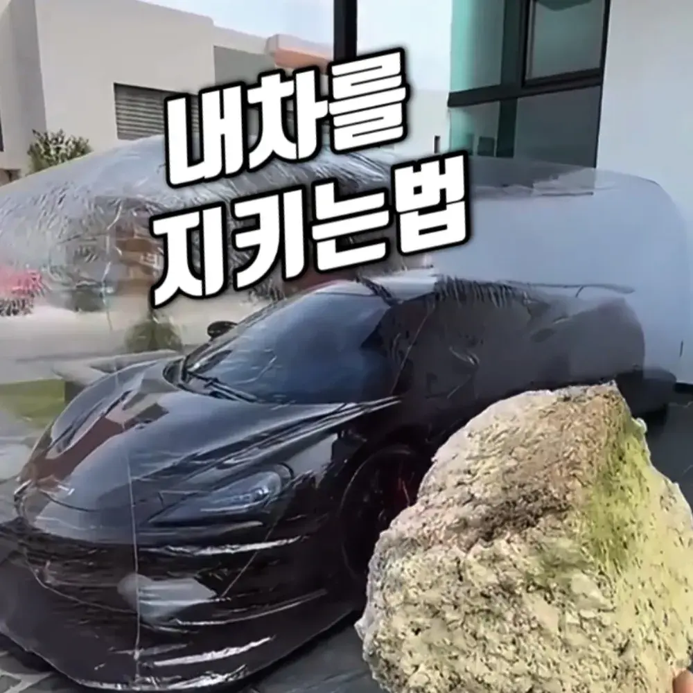 224번-자동차 보호버블