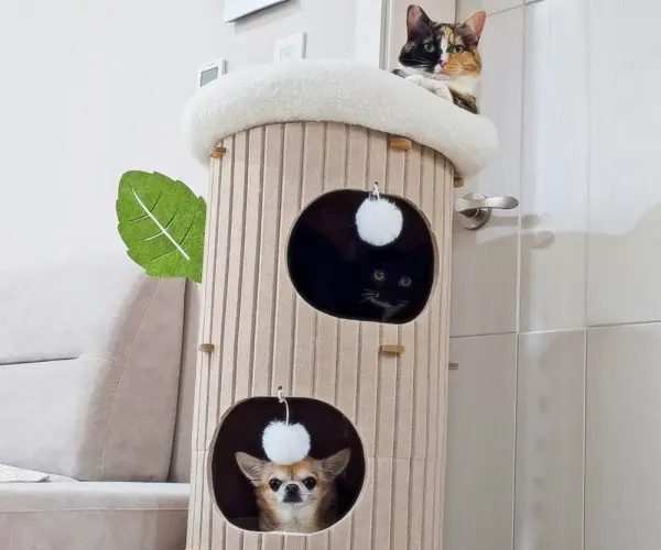 통나무  3층 캣타워