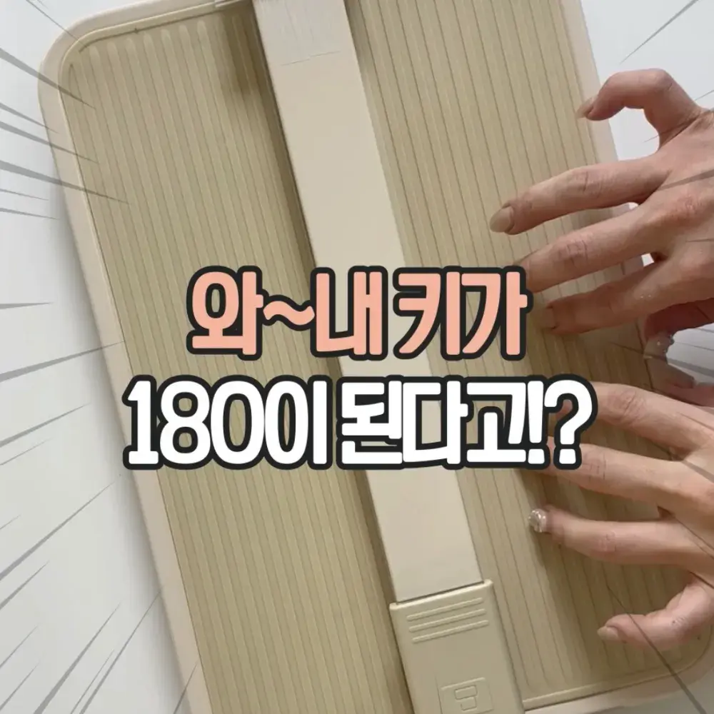 세이프스텝 사다리