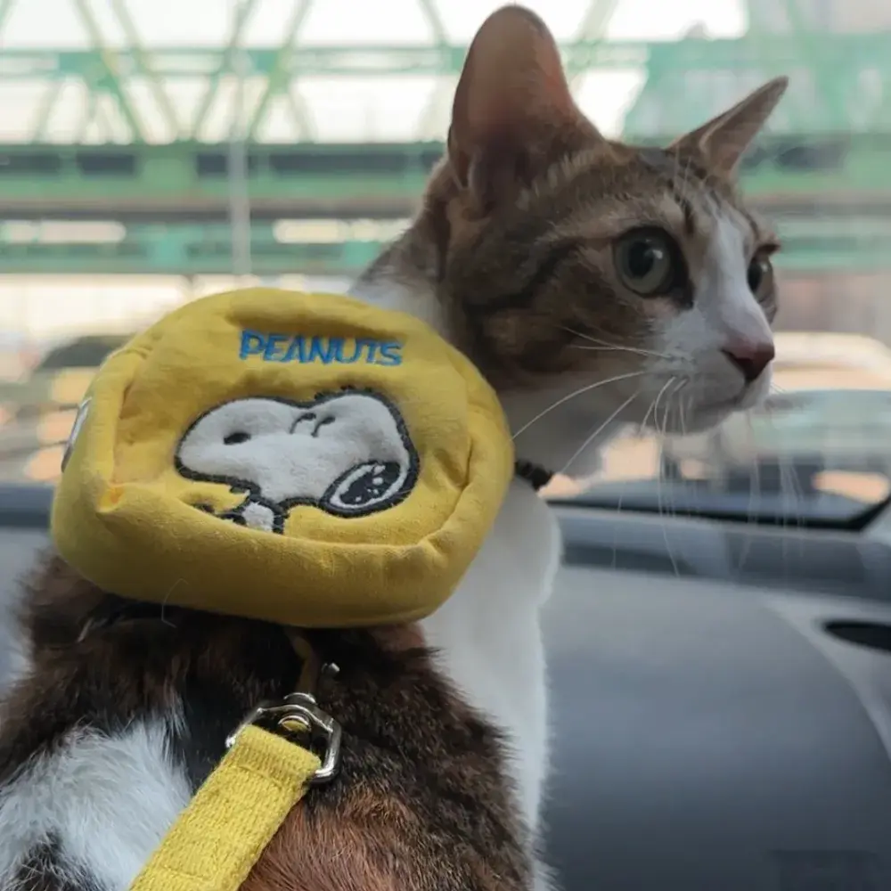 시끄 스누피하네스+리드줄 (강아지용임)