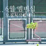 images/2025/5/18/2025-5-18-1747610327465.webp