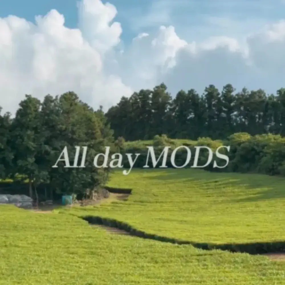 images/2025/5/19/2025-5-19-1747617959096.webp