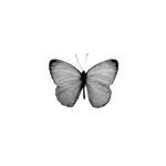 images/2025/5/19/2025-5-19-1747644170957.webp