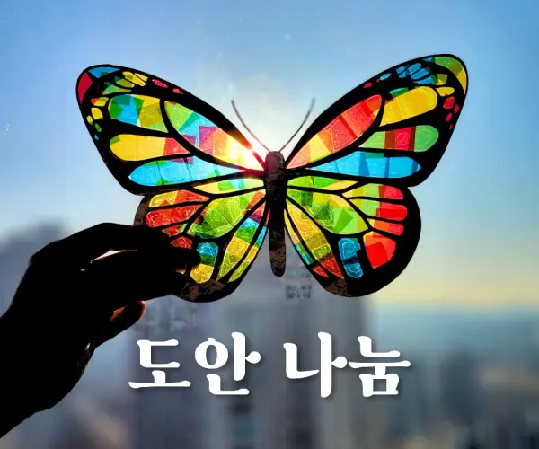 🦋나비썬캐쳐