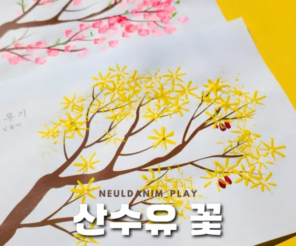 💛산수유 벚꽃🌸 