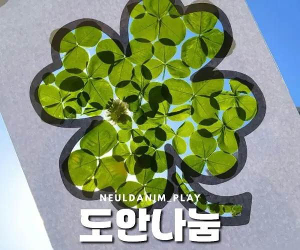🍀네잎클로버