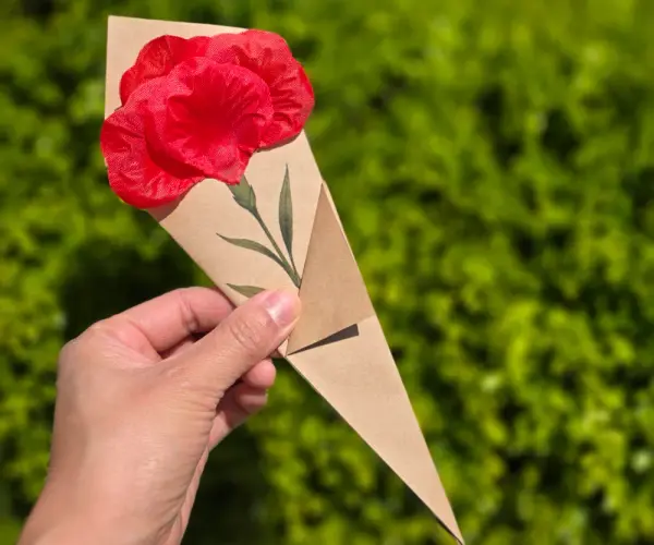 🌺한송이 카네이션