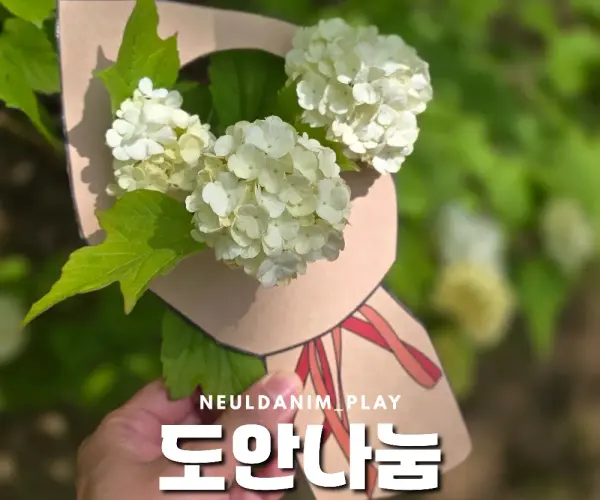 💐꽃다발