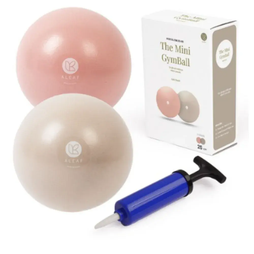 25cm 미니 짐볼 세트