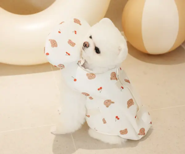 애견 턱받이 구명조끼