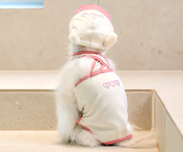 수영모자 래쉬가드