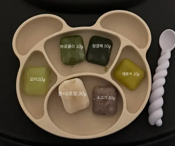 urvs 곰돌이식판