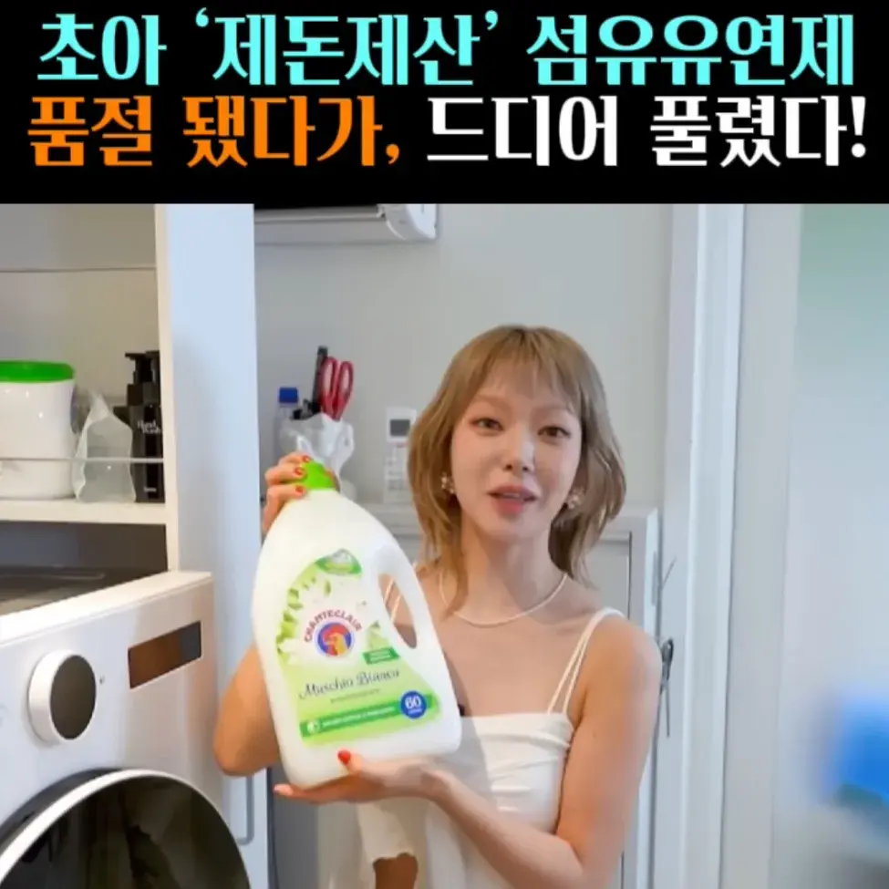 🧚#81. 초아, ‘제돈제산’ 섬유유연제