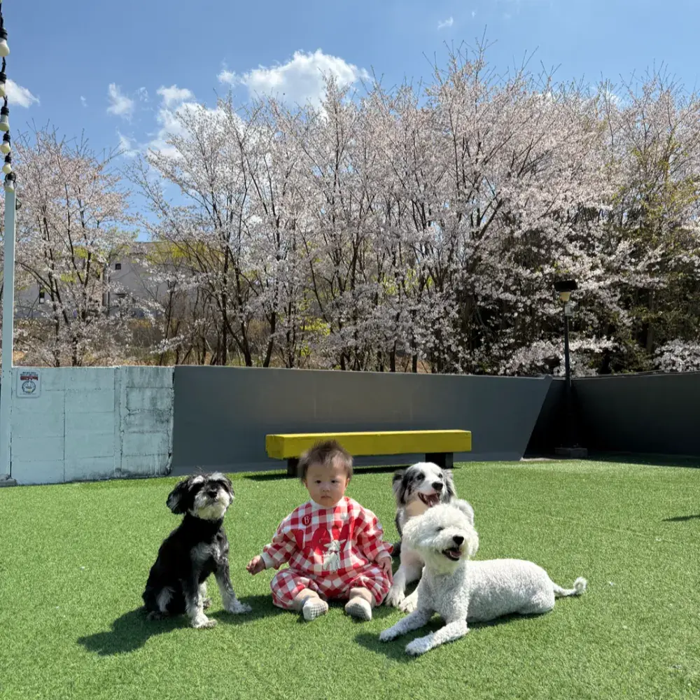 안슈하우스 루프탑+마당 대여