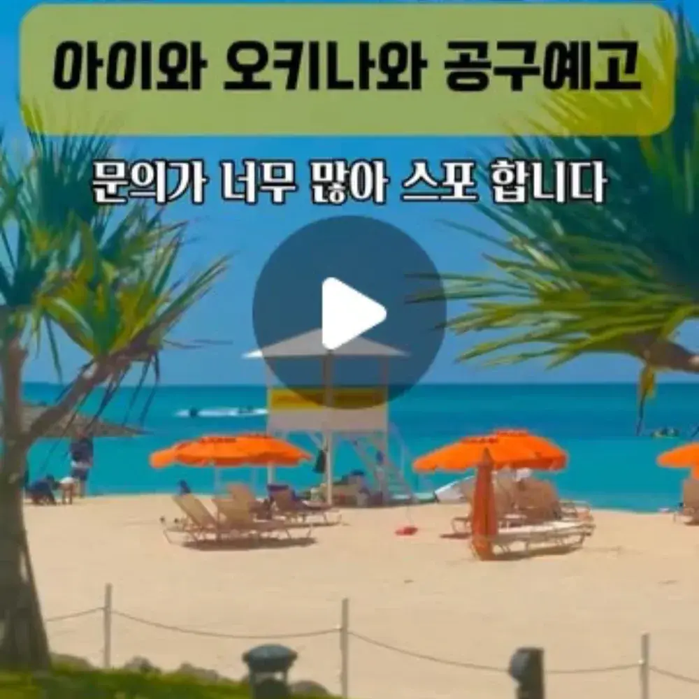 2시간거리의 물놀이천국 오키나와 & 이시가키🇯🇵공구종료📞CS:1800-6359