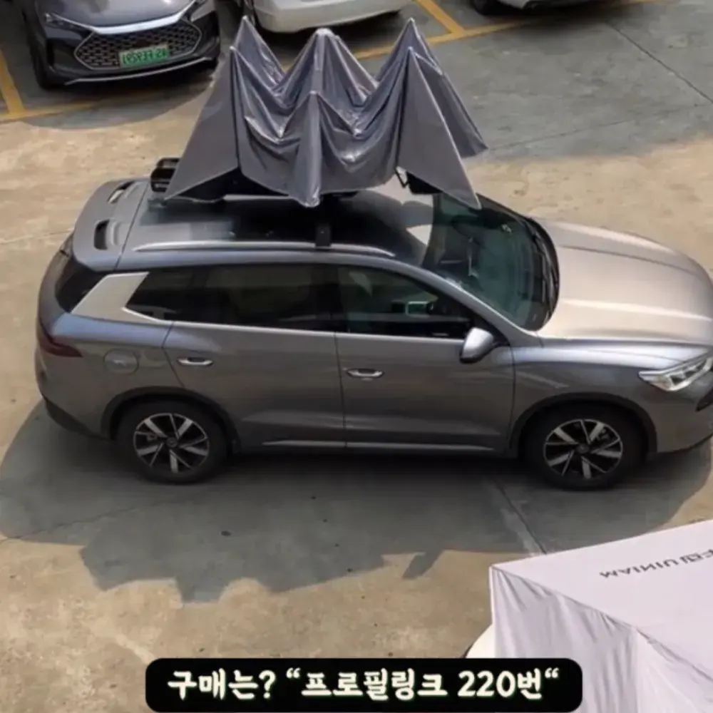 220번-차량용 차양막