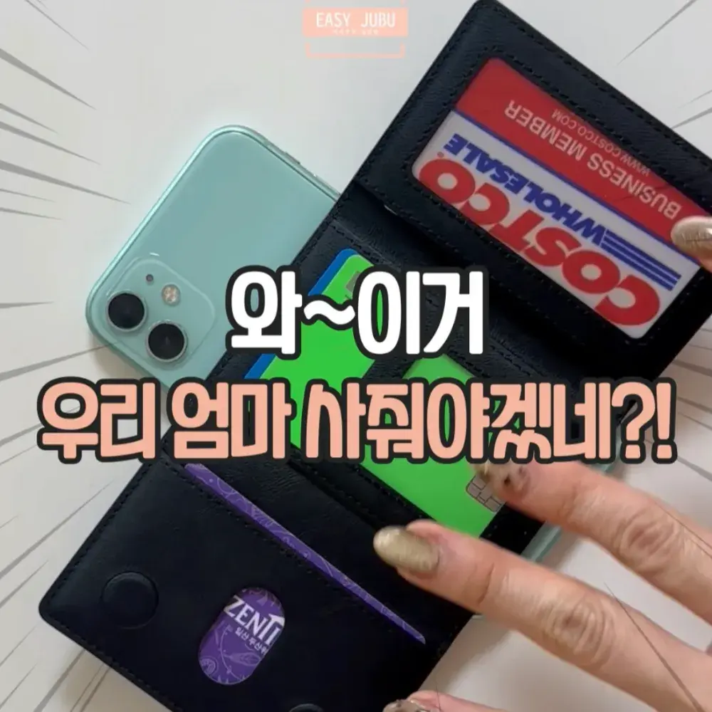 맥세이프 카드지갑