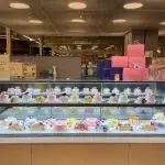 images/2025/6/11/2025-6-11-1749609087918.webp