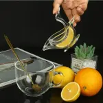 images/2025/6/11/2025-6-11-1749684965338.webp