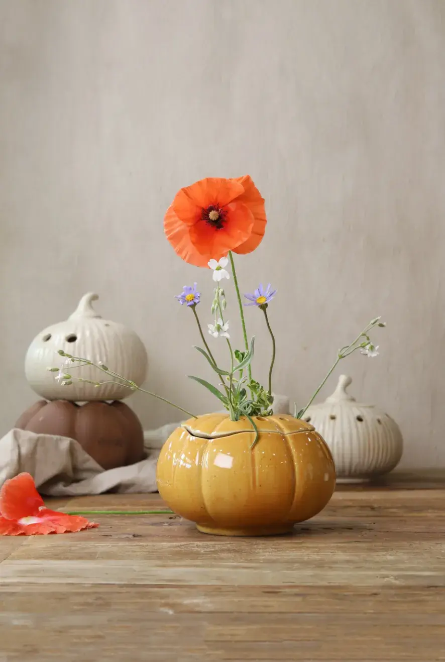 images/2025/6/12/2025-6-12-1749708613177.webp