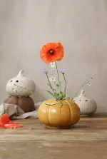 images/2025/6/12/2025-6-12-1749708613177.webp