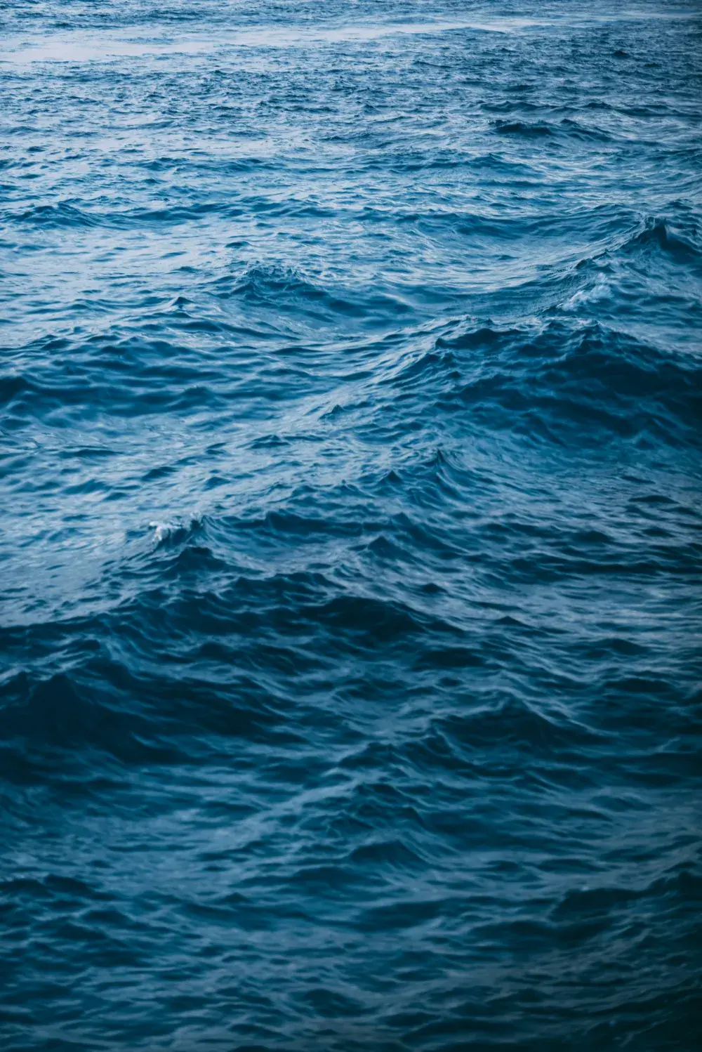images/2025/6/13/2025-6-13-1749833944991.webp