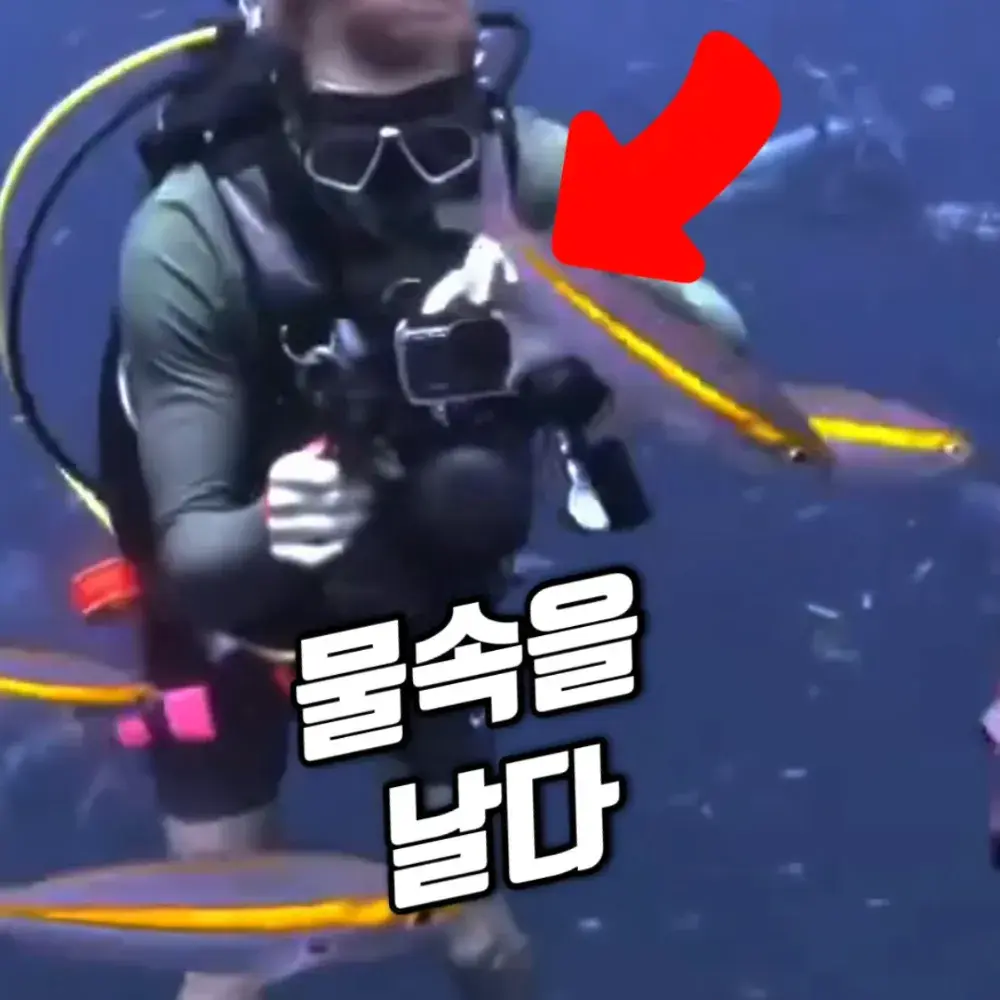 260번-물놀이 끝판왕