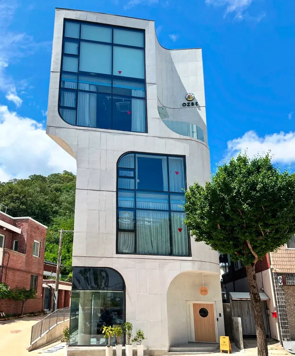 🍊☀️ 벌써 5개월, 오즈베와 함께한 계절의 변화