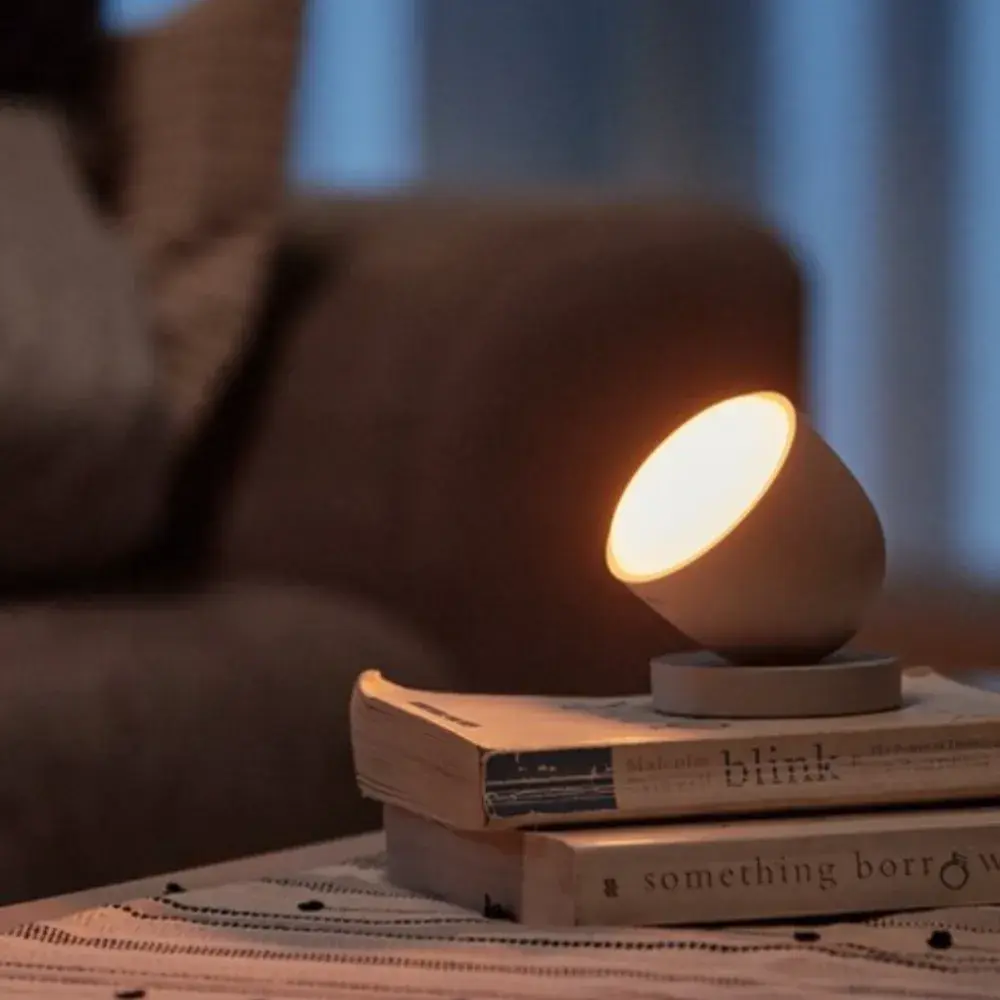 135번. 올리 나이트 조명