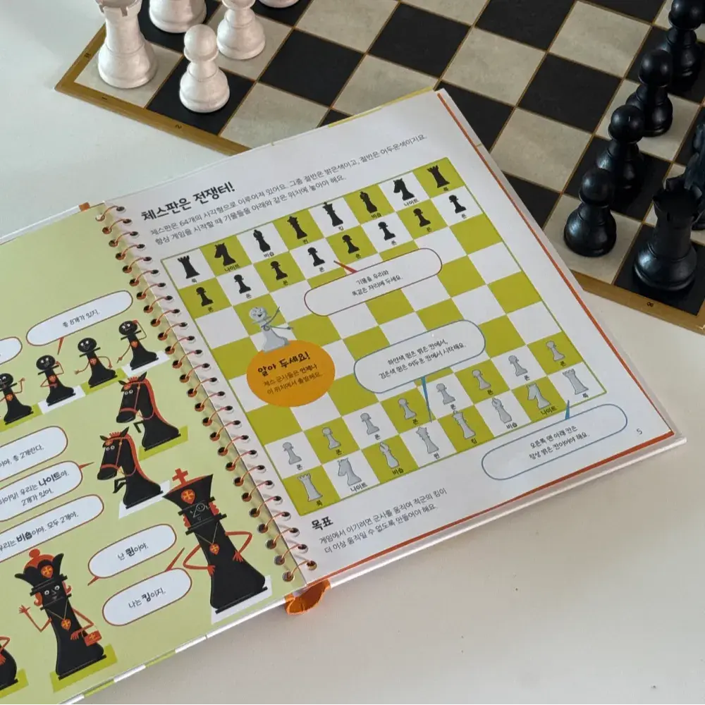 체스 첫입문 추천책