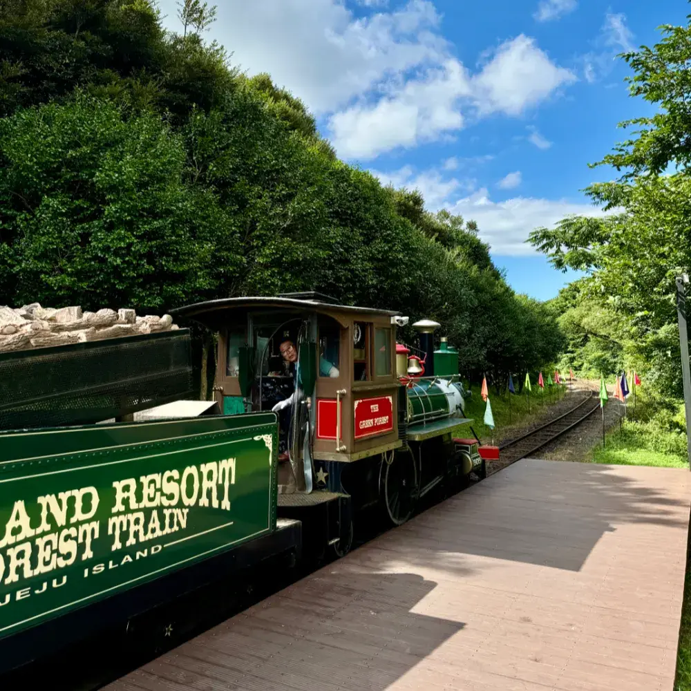 🚂기차가 다니는 호텔🚂 에코랜드 호텔