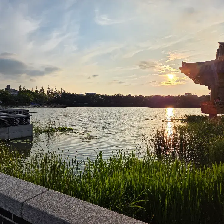 images/2025/6/19/2025-6-19-1750351504919.webp