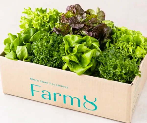 유러피안샐러드1kg