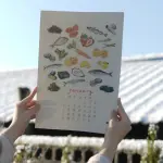 images/2025/6/2/2025-6-2-1748840794123.webp