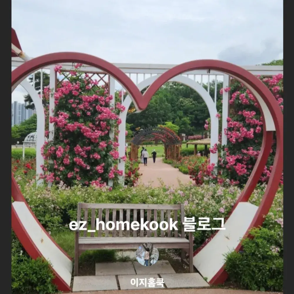 이지홈쿡 블로그