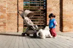 images/2025/6/24/2025-6-24-1750806157722.webp