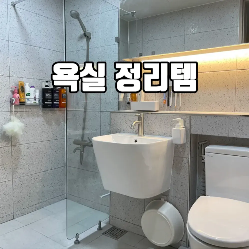 욕실 정리템(공중부양 살림템 모음)