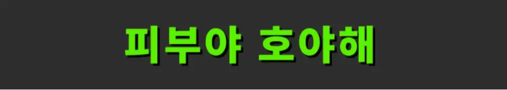 호야 핫템 쇼핑몰(여기 통해서 구매해야 빠른 배송)