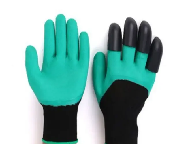 36. 가든 글러브