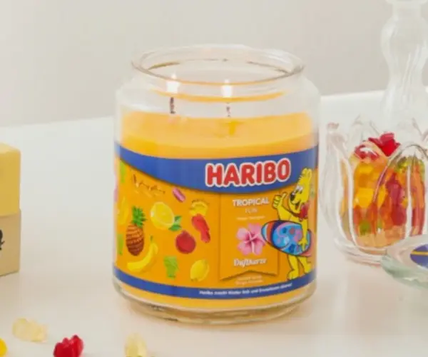 양지앤코 하리보 캔들 라지자 향초 자캔들(대) 팜왁스 트로피칼펀