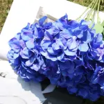 images/2025/6/27/2025-6-27-1751018050720.webp