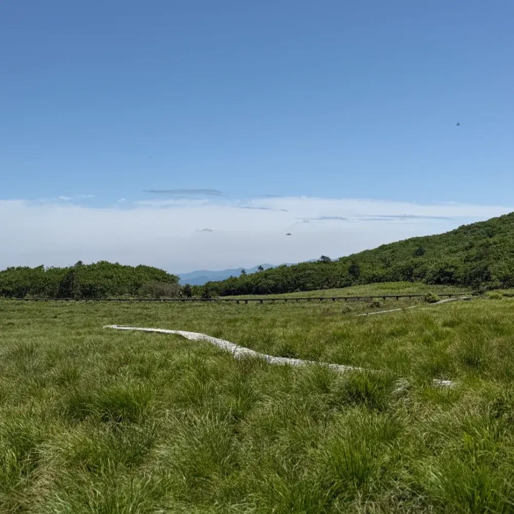 강원도 인제 여행 예약정보