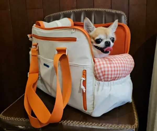 펫츠랜드 강아지이동가방