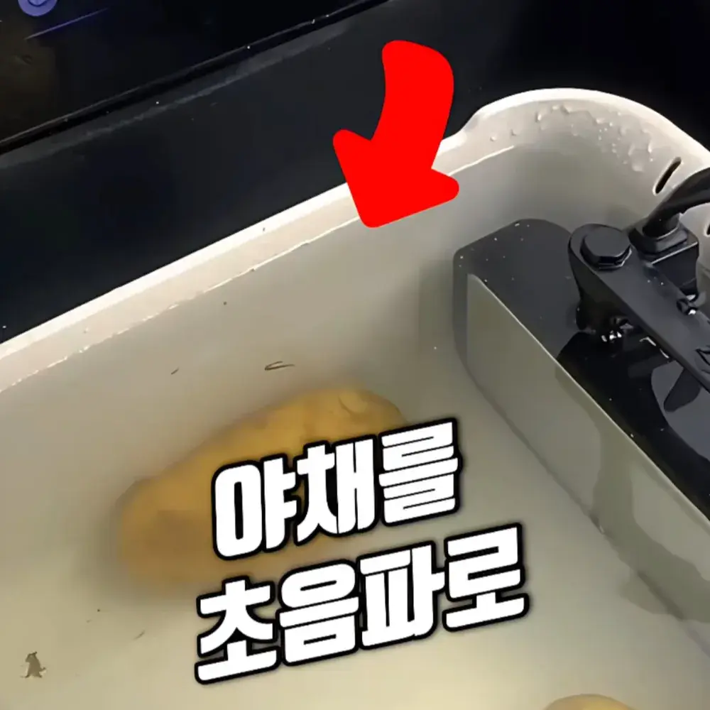 250번-초음파 세척기